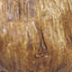Ceramic Shell 8 x 8 x 5.5 cm, color brown - 2/3