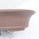 Bonsai bowl 41 x 31 x 8 cm, color brown - 2/7