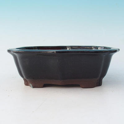 Bonsai dish - ONLY PERSONAL COLLECTION - 2