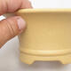 Ceramic bonsai bowl 14 x 14 x 6.5 cm, color ocher - 2/3
