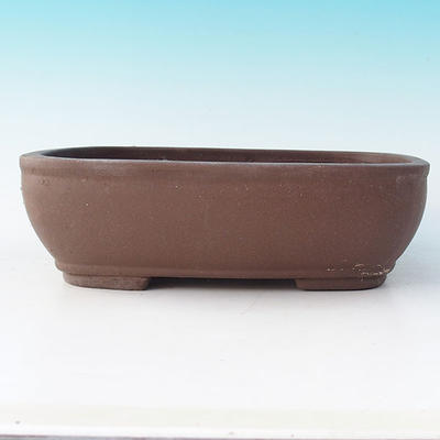 Bonsai bowl 32 x 23 x 9 cm - 2