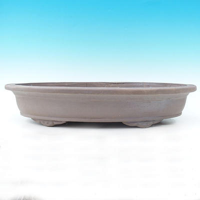 Bonsai bowl 60 x 37 x 13 cm - 2