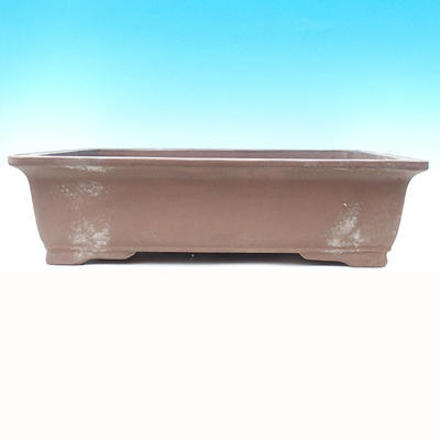 Bonsai bowl 60 x 46 x 18 cm - 2