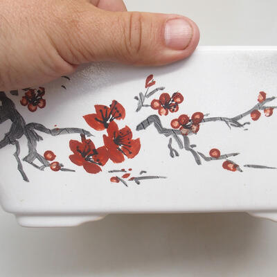 Ceramic bonsai bowl 22 x 22 x 9 cm, color white - 2