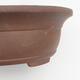 Bonsai bowl 36 x 31 x 11.5 cm - Japanese quality - 2/7