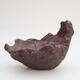 Ceramic shell 17 x 16 x 13 cm, color brown - 2/3
