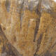 Ceramic shell 9 x 8.5 x 6 cm, color brown - 2/3