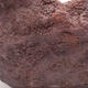 Ceramic shell 17 x 19 x 13 cm, color brown - 2/3