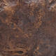 Ceramic shell 16 x 15 x 15.5 cm, color brown - 2/3