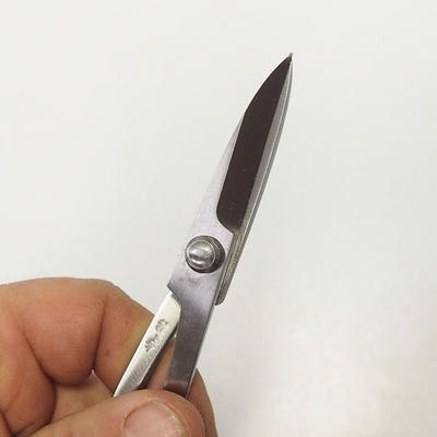 Scissors length 180 mm - Stainless Steel Case + FREE - 2