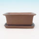 Bonsai bowl H1 - 11,5 x 10 x 4,5 cm, 1 x 9,5 x 1 cm, brown - 11,5 x 10 x 4,5 cm, tray 1 x 9,5 x 1 cm - 2/3