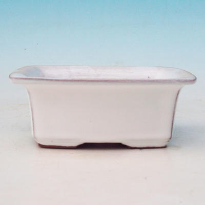 Bonsai ceramic bowl H 11, white - 2
