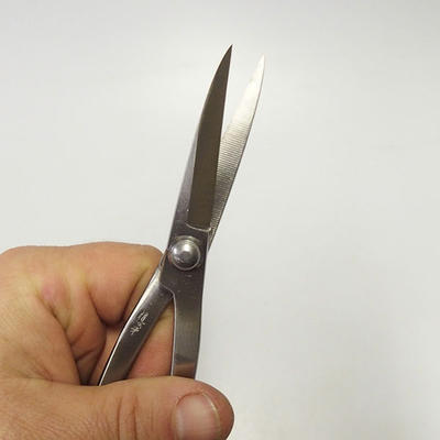 Scissors length 205 mm - Stainless Steel Case + FREE - 2