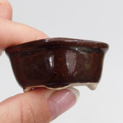 Mini bonsai bowl 5 x 4 x 2 cm, brown color - 2