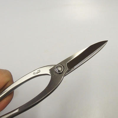 Scissors 200 mm length - Stainless Steel Case + FREE - 2