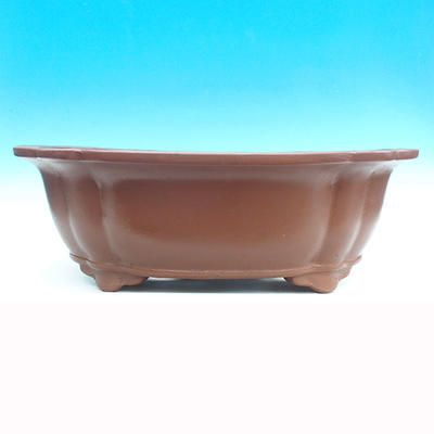 Bonsai bowl 69 x 54 x 24 cm - 2