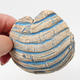 ceramic shell - 2/3
