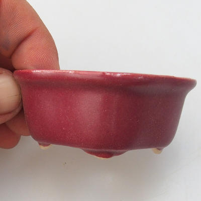 Mini bonsai bowl - 2