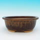 Bonsai ceramic bowl CEJ 14, beige - 2/3