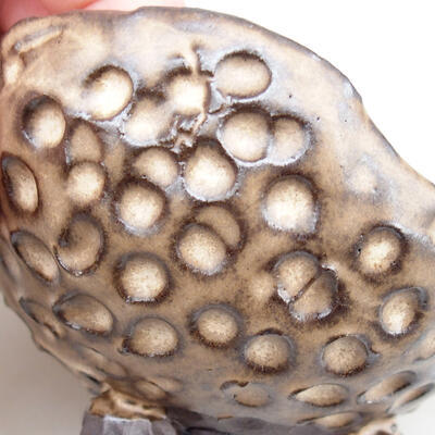 Ceramic shell 8 x 8 x 5.5 cm, brown color - 2