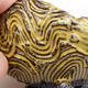 Ceramic shell 8 x 8 x 5.5 cm, color yellow - 2/3