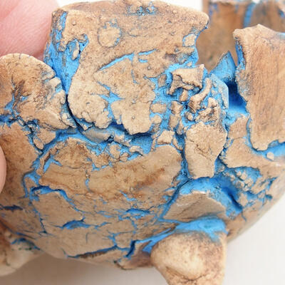 Ceramic Shell 8 x 8 x 6 cm, gray-blue color - 2
