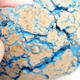 Ceramic Shell 8 x 8 x 6 cm, gray-blue color - 2/3