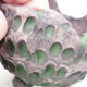 Ceramic Shell 8.5 x 8 x 7 cm, color gray-green - 2/3