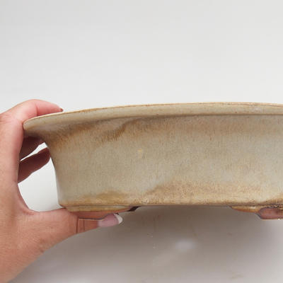 Ceramic bonsai bowl 22 x 17 x 6 cm, color beige - 2