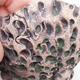 Ceramic Shell 7.5 x 7.5 x 6 cm, color gray-green - 2/3