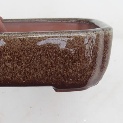 Bonsai bowl 15 x 13 x 5 cm, color brown - 2