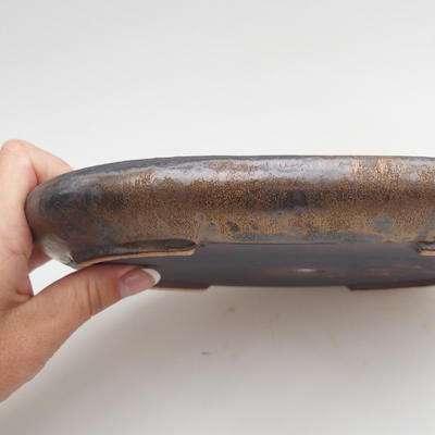 Ceramic bonsai bowl 22 x 16 x 2,5 cm, metal color - 2