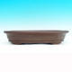 Bonsai bowl 40 x 31 x 7,5 cm - 2/7