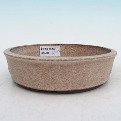 Bonsai ceramic bowl - 2
