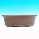 Bonsai bowl 50 x 40 x 15 cm - 2/7