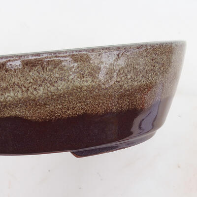 Bonsai bowl 20.5 x 17 x 6 cm, color burgundy - 2