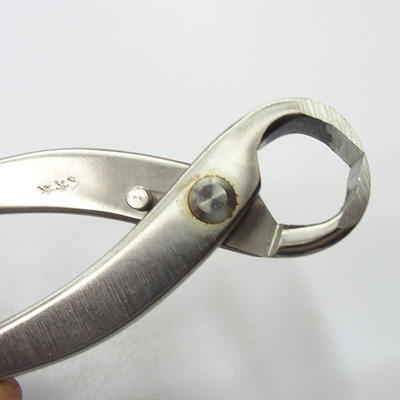 Pliers Stainless roots 21 cm - 2