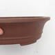 Bonsai bowl 36 x 30 x 8.5 cm - Japanese quality - 2/7