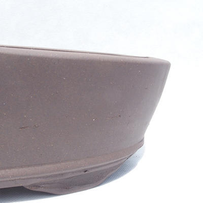 Bonsai bowl 31 x 20 x 7 cm - 2