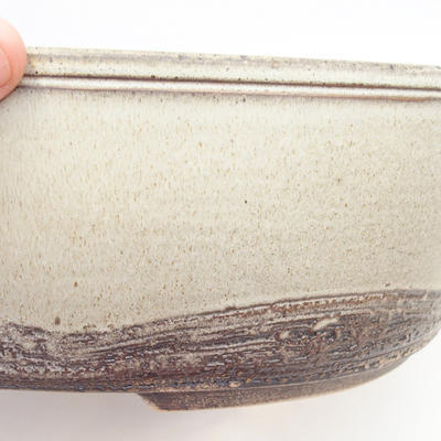 Bonsai bowl 36 x 27.5 x 10 cm, gray-beige color - 2