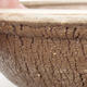 Ceramic bonsai bowl 17 x 17 x 6 cm, color cracked - 2/4