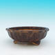 Bonsai ceramic bowl CEJ 26, beige - 2/3