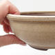 Ceramic bonsai bowl 16,5 x 16,5 x 6 cm, color beige - 2/4