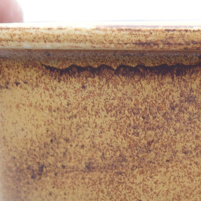 Ceramic bonsai bowl 21 x 17 x 7 cm, color brown - 2