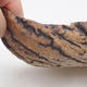 Ceramic Shell 19 x 11,5 x 6,5 cm, brown brown color - 2/3
