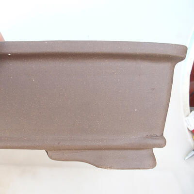 Bonsai bowl 60 x 43 x 13 cm, natural color - 2