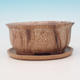 Bonsai bowl tray H 30 - bowl 12 x 10 x 5 cm, tray 12 x 10 x 1 cm, beige - bowl 12 x 10 x 5 cm, tray 12 x 10 x 1 cm - 2/3