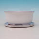 Bonsai bowl tray H 30 - bowl 12 x 10 x 5 cm, tray 12 x 10 x 1 cm, white - bowl 12 x 10 x 5 cm, tray 12 x 10 x 1 cm - 2/3
