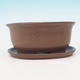 Bonsai bowl tray H 30 - bowl 12 x 10 x 5 cm, tray 12 x 10 x 1 cm, brown - bowl 12 x 10 x 5 cm, tray 12 x 10 x 1 cm - 2/3