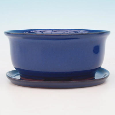 Bonsai bowl tray H 30 - bowl 12 x 10 x 5 cm, tray 12 x 10 x 1 cm, blue - bowl 12 x 10 x 5 cm, tray 12 x 10 x 1 cm - 2